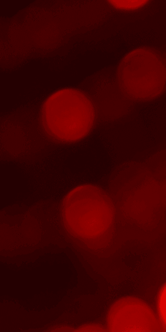 bg image