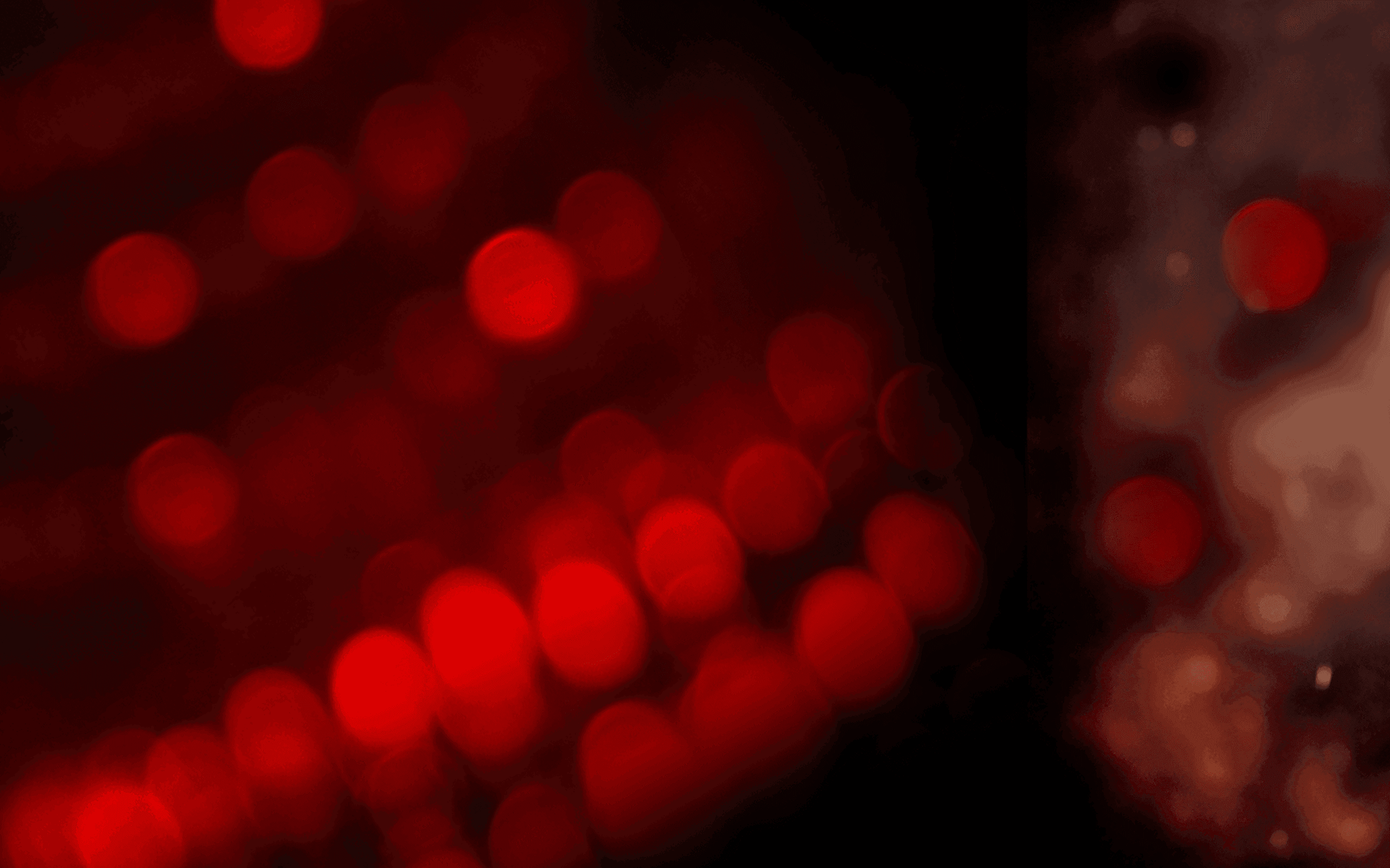 bg image